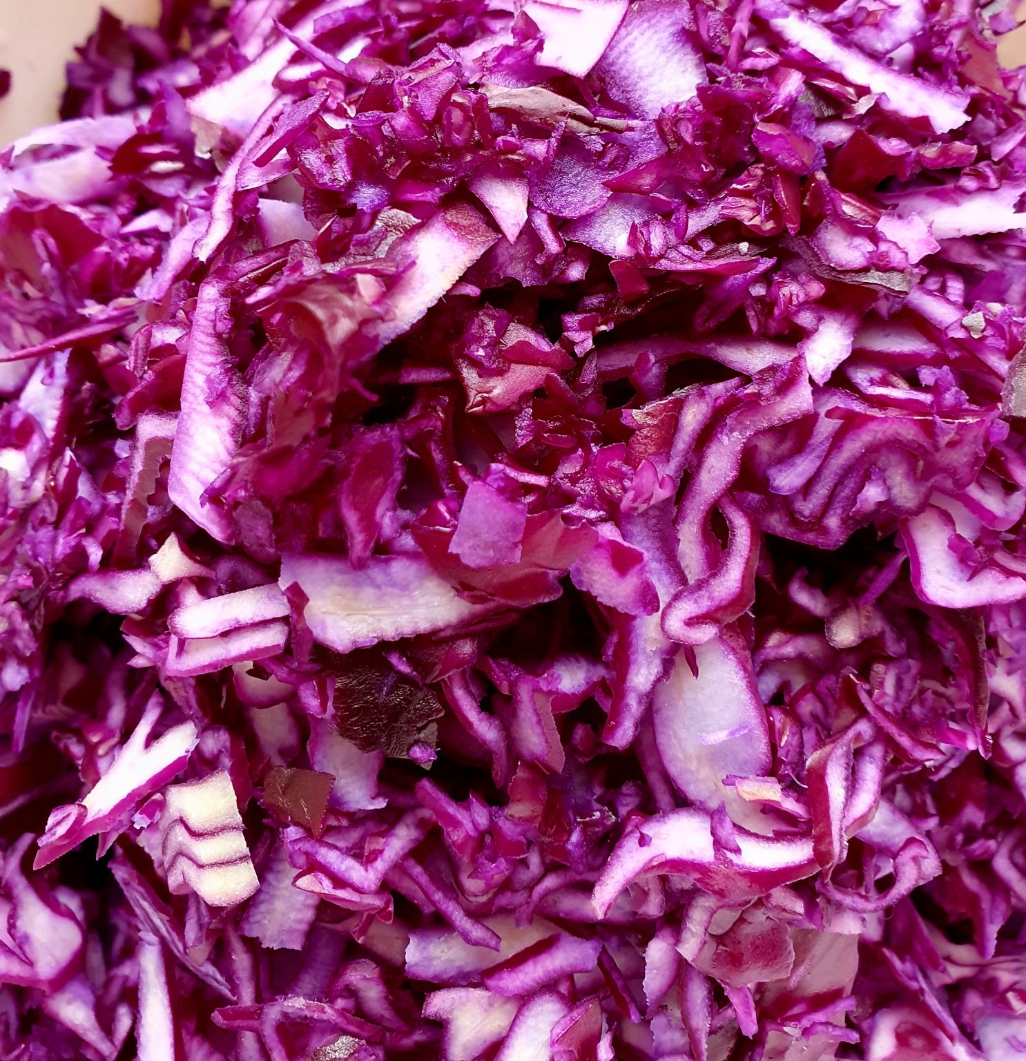 Thermomix Cutter vs Magimix SlicerGrater Gochugaru Girl